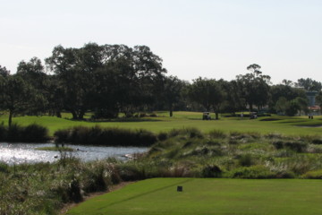 Belleview Biltmore Golf Club