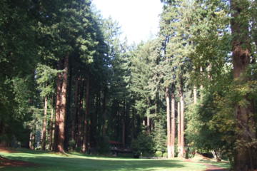 Northwood Golf Club - Tight Opening