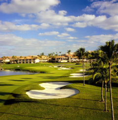 Doral Blue Monster