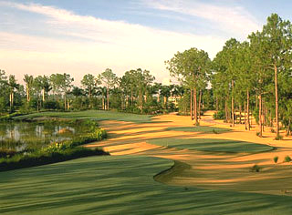 Tiburon Golf Club
