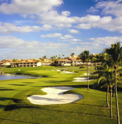 Doral Blue Monster