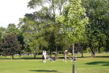 Niagara-on-the-Lake Golf Club