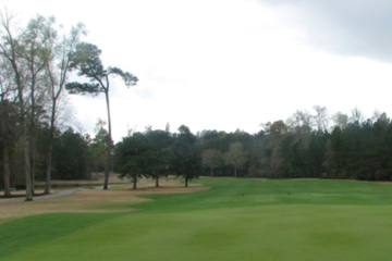 The Links at Stono Ferry - Charleston