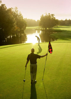 Innisbrook Resort and Golf Club
