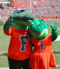 Florida Gators