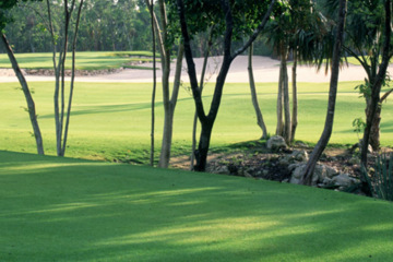 El Camaleon Golf Course - Mexico
