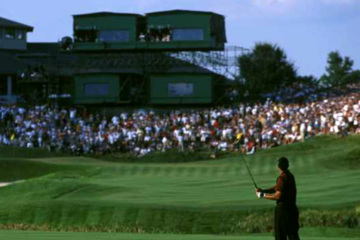 Tiger Woods