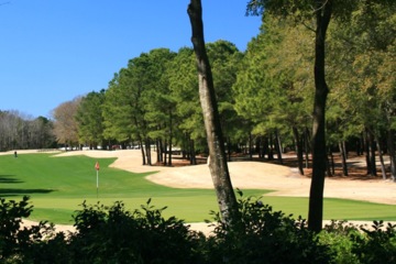 The Tradition Golf Club - No. 17