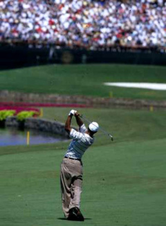 Tiger Woods