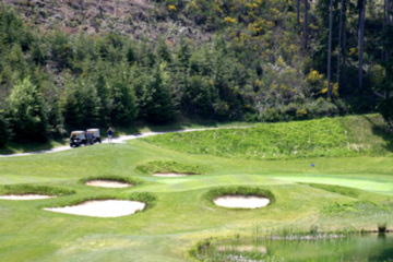 Olympic Course at Gold Mountain - No. 18