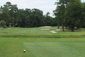 Shadowmoss Plantation Golf Club - hole 17