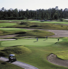 Barefoot Resort - Dye Course
