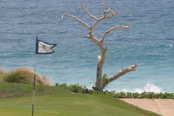 Puerto Los Cabos - Nicklaus course - hole 15