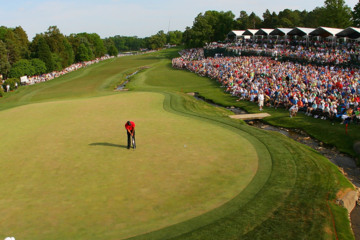 Tiger Woods at Quail Hollow Country Club