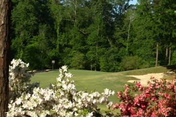Dancing Rabbit Golf Club - Azaleas course - No. 2