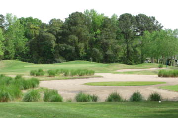 Wicked Stick Golf Links: No. 5