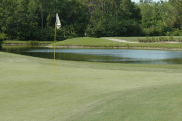 Legacy Golf Club - 5th green