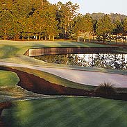 Disney's Bonnet Creek