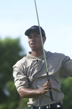 Tiger Woods