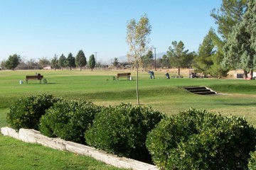Practice area
