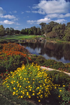 Aviara golf club
