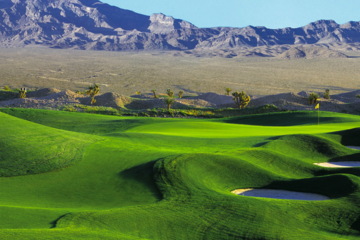 The Wolf at Paiute