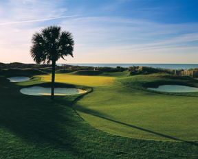 Turtle Point Golf Course