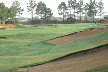 Orlando - Southern Dunes