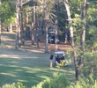 High Meadow Ranch Golf Club - Houston, Texas - woods