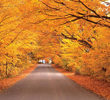 Vermont Fall