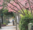 Downtown Charleston