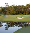 Disney Mickey Mouse Bunker