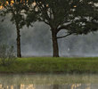 Fallen Oak Golf Course