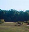 Wetlands Golf Club