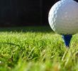 Golf ball ace