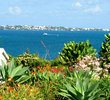 Riddell's Bay Golf Course - Water