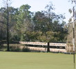 Tiburon Golf Club - Black course