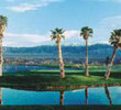 The Palms Course at Si Redd
