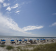 The best of Hilton Head Island - beach