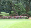 Caledonia Golf and Fish Club