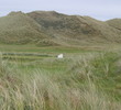 Old Tom Morris course at Rosapenna Hotel & Golf Resort