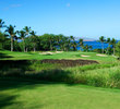 Gold Course at Wailea Golf Club - No. 8