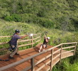 Maui ziplining