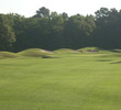Avocet Course at Wild Wing Golf Plantation - hole 1
