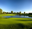 Pine Trace