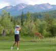 Golden Golf Club - wildlife