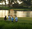 Players Stadium Course - TPC Sawgrass - hole 17