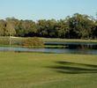 Claw golf course - University of South Florida - hole 6