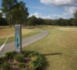 Pebble Creek Golf Club in Tampa - birds