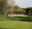 Copperhead golf course - Innisbrook Resort